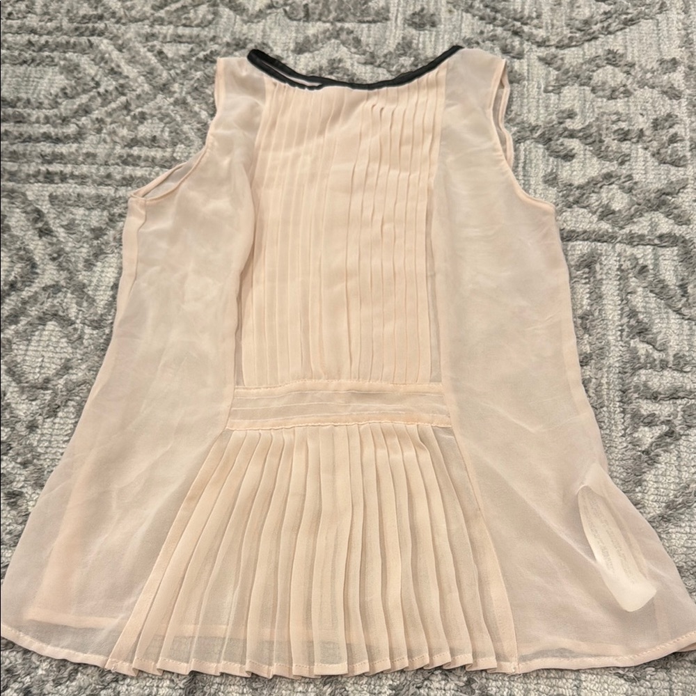 Zara Chic Sheer Pleated Blouse